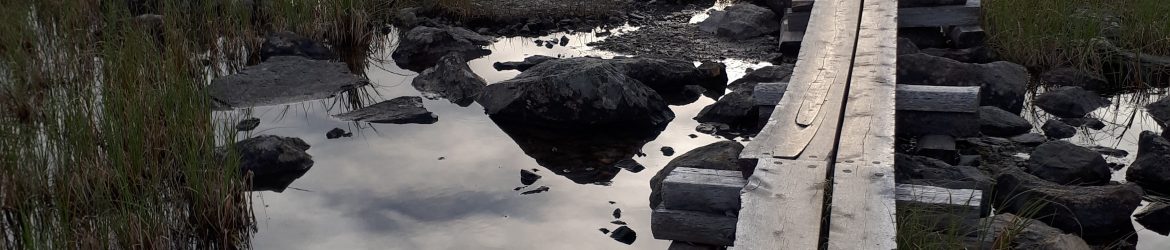 2 Rajapyykiltä 20180808_211634 (2)